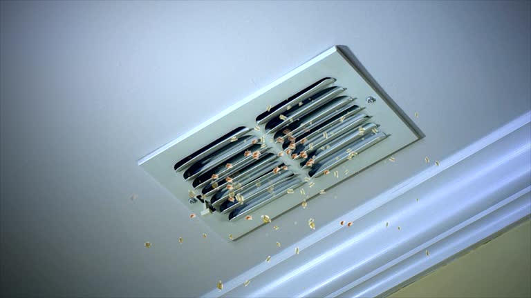 Professional Airduct Cleaning in GA