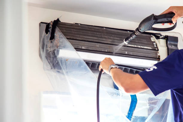 Best Home Air Vent Cleaning  in Ray City, GA