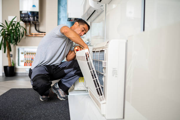 Best Professional Duct Cleaning Services  in Ray City, GA