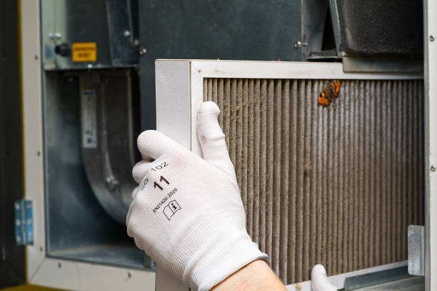 Best Affordable HVAC Duct Cleaning  in Ray City, GA