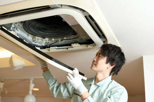 Best Ductwork Cleaning Services  in Ray City, GA