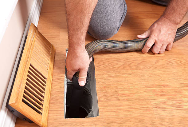Best Air Duct Mold Removal  in Ray City, GA